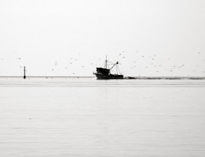 Early morning on the sea
