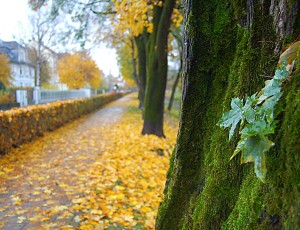 Near Lendkanal in Klagenfurt