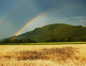 Beautiful rainbow
