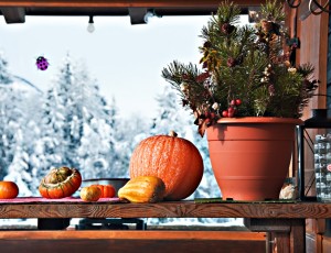 Object on the window