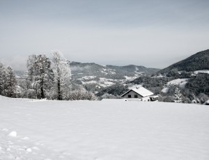 It's snow time