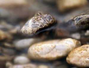 Stones in water