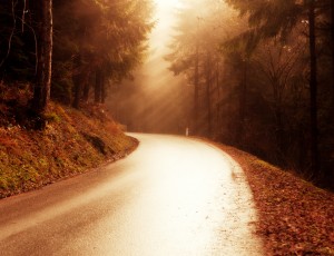 Road to Gerlitzen / Austria
