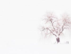 Standing in the winter storm