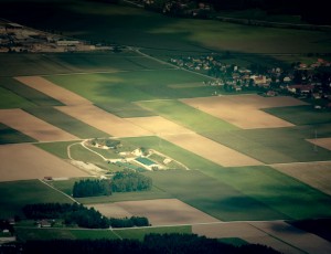 Fields of grain top view