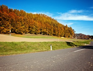 The sun still shining in autumn